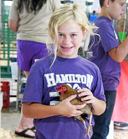 Louisa Friesen showed "Chicken Little" in the 4-H Poultry Show at the fair on Thursday