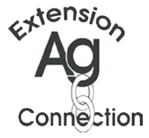 Alt Text for Image