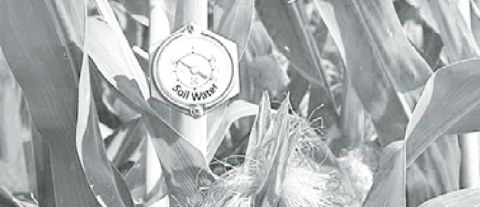 How to keep irrigation cost down on a dry year with low grain prices