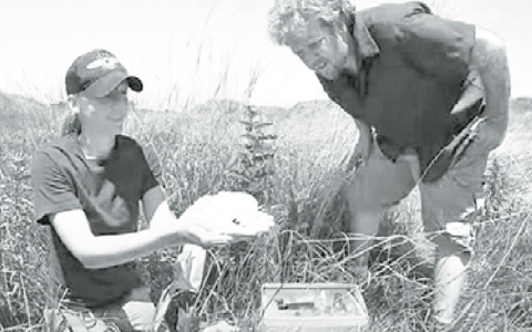Sarah Bailey (left) shows Jeff Gustafson a bumblebee in the aptly named video, “Jeff sees a bumblebee.” Courtesy photo