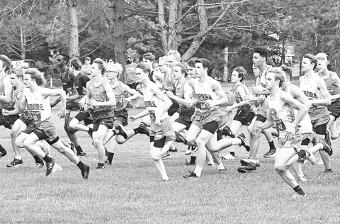 The boys cross country team jostles to find their place in the initial rush during the beginning of the race. News-Register/Jeni Moellenberndt