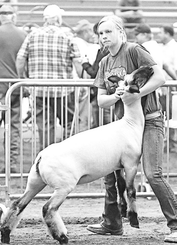 Pictured above, Kenzie Wert gets her lamb in position for judging. News-Register/Jeni Moellenberndt