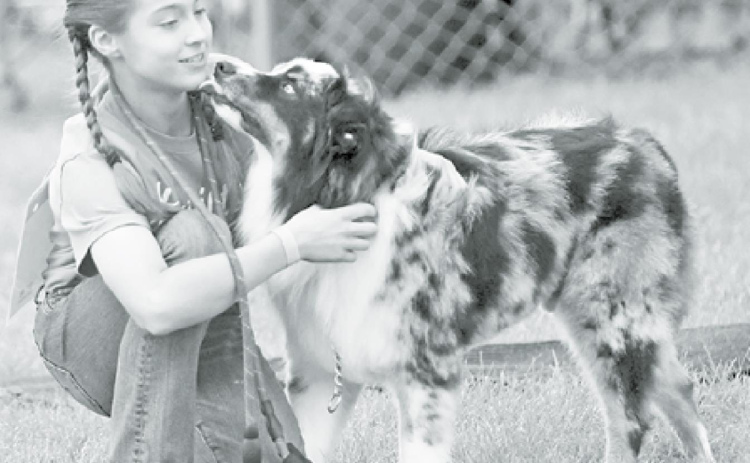 Youth, animals featured at county fair
