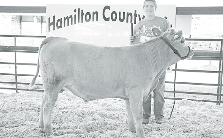 Korbin Stump walked away with a grand champion rosette, with the help of the calf partially taken care of by the Hampton ag program, in the 4-H Feeder Steer category at this year’s Hamilton County Fair. News-Register/Cheyenne Rowe
