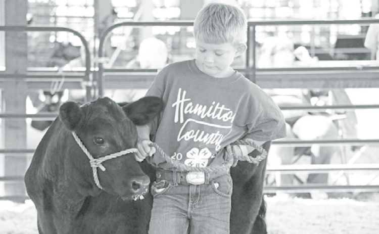 Clover Kids learn the ropes