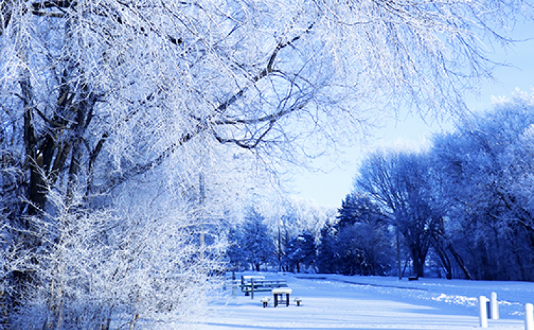 Everything was cold and ice-covered on this day in Streeter Park with temps plummeting to bitter lows.