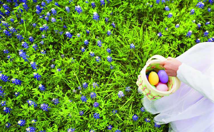 The Edgerton is set to host Easter fun this weekend.