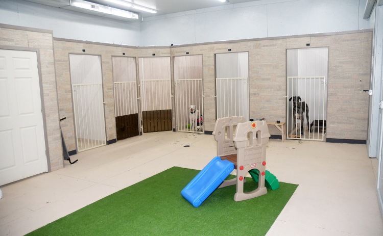 A 1,000 sq.-ft. expansion at Hairy Situations Dog Spa and Self Wash, located at 1621 9th St., now offers six large kennels and a play area for dogs.