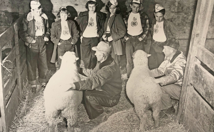 Photo courtesy of the Plainsman Museum // These 4-Hers seem to be getting a lesson on sheep during an early Hamilton County Fair.