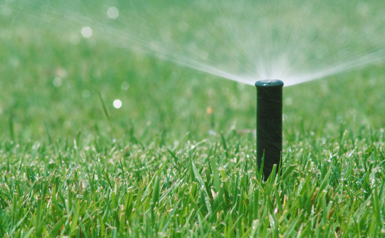 Watering the lawn may be limited this summer if village leaders implement restrictions.