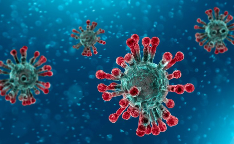 Local flu and COVID cases are reportedly on the rise heading into the holiday season, prompting health officials to urge residents to use caution to protect themselves and others.
