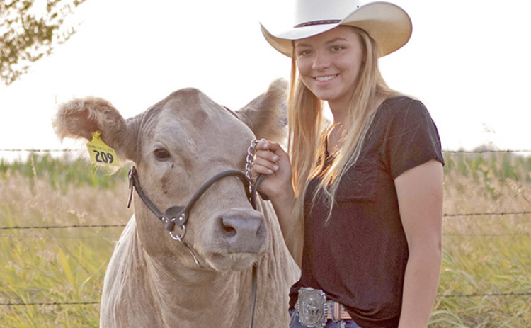 Artificial insemination tecnician Emma Snoberger stands with one of her show cattle. The cow has produced one calf through the use of AI calf and is currently AI bred.