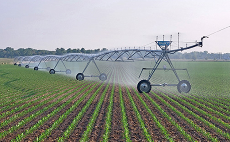 A center pivot sprays water on recently emerged corn plants near the Platte River in northern Hamilton County. Extension Service educator Steve Melvin says it is unusual for farmers to be irrigating so much at this point in the growing season during the time when weather is usually wet.