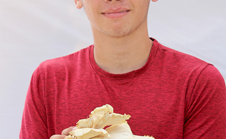 FFA member Jameson Doyle holds up one of oyster mushroom he grew in the family garage and was offering for sale Saturday at the Farmers Market in Aurora.