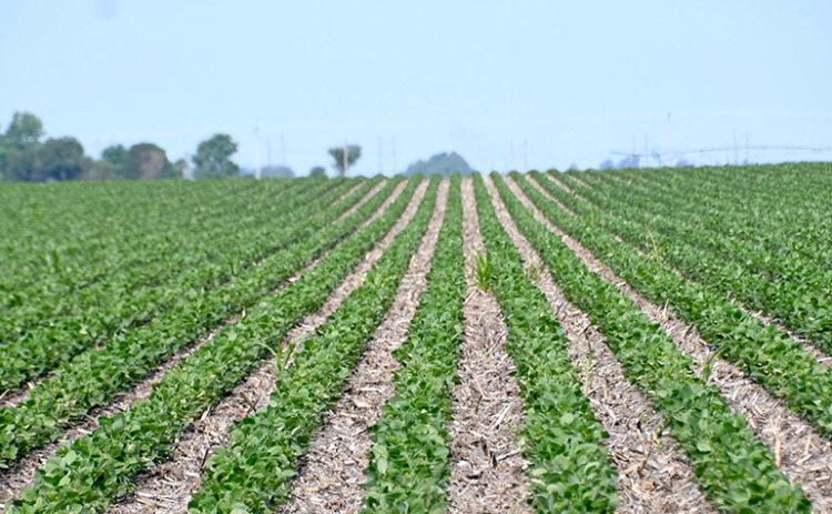 Ag land values and cash rental rates are going up across Nebraska, but the East District, which includes Hamilton and 15 other eastern counties, has the highest valued land in the state at an average of $9,320 an acre.