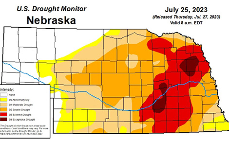 The latest Nebraska Drought Monitor map shows the Panhandle completely out of drought but Hamilton County in one of two areas of the state in the D4 category.