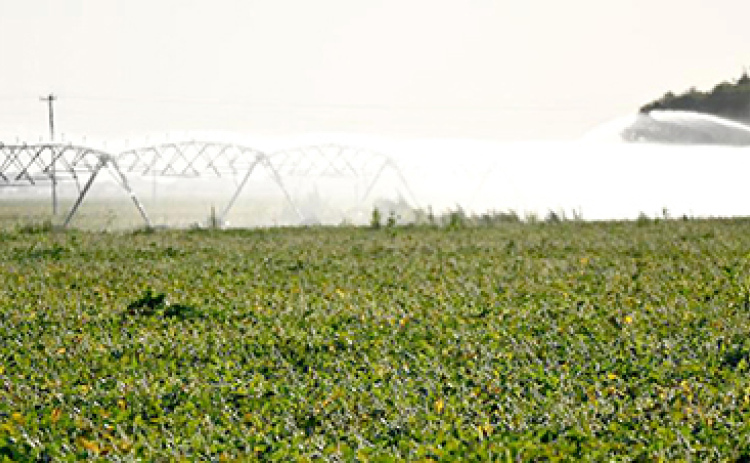 A center pivot irrigation system sprays water on a late-season soybean crop. Farmers are urged to optimize their last few irrigations of the season in order to allow the soil to soak up more water in the non-growing seasons.