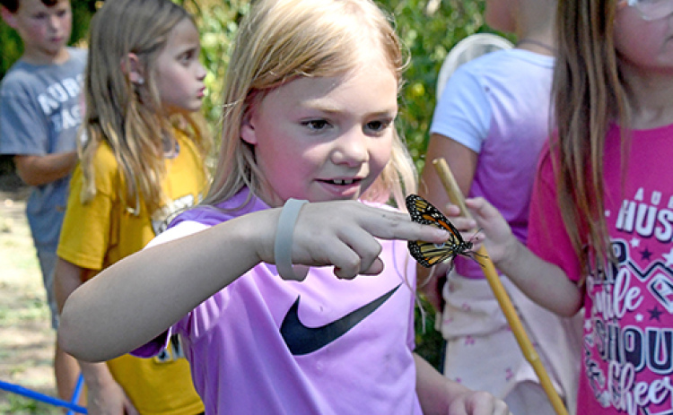 Rylei Beck inspects the butterfly she caught and tagged while participating in her 3rd grade class’s monarch tagging exercise at Lincoln Creek Prairie and Trail.