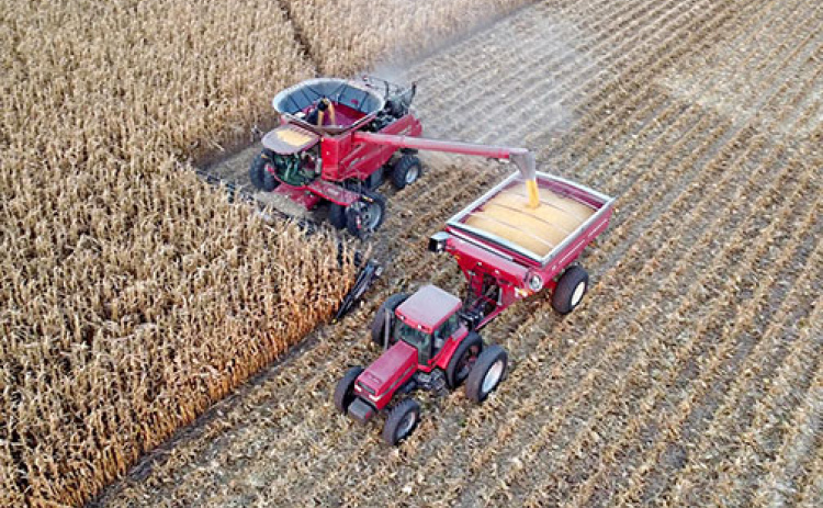 The corn harvest in Hamilton County was a mixed bag. Yields ranged from around 200 to 280 bushels per acre depending on where fields were located.