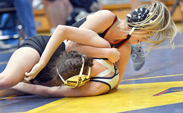 Aurora’s Caly Settles was the Huskies’ lone Central Conference champion, highlighting six medalists for the group. Aurora finished sixth in the team race during Friday’s tournament held in York.