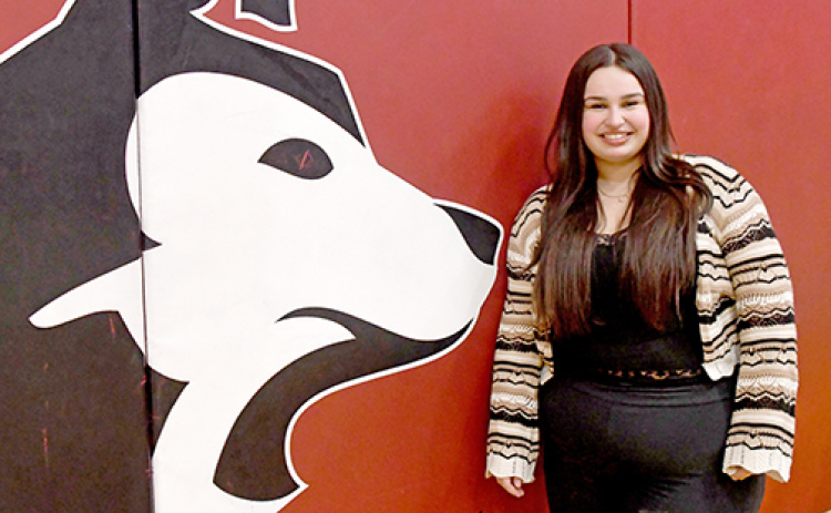 German exchange student Emma Heckmann said she appreciates the array of science classes offered at AHS. She hopes to follow in her father’s footsteps and become a surgeon back home in Germany.