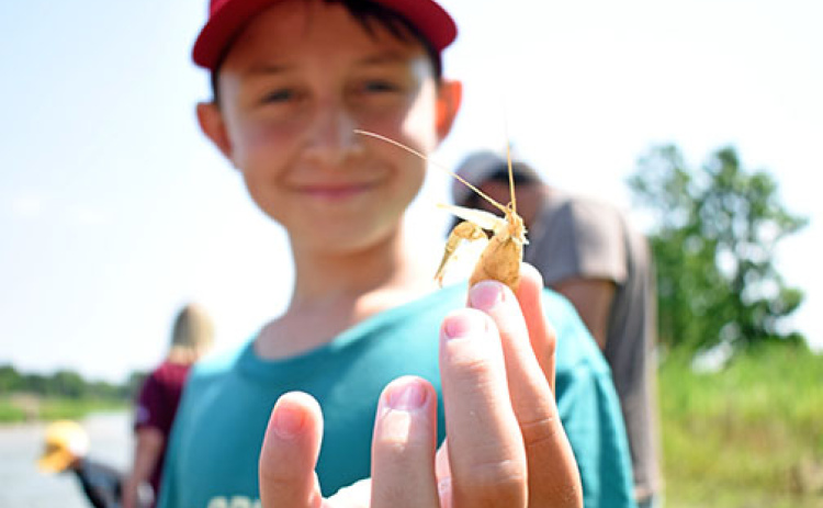 Camper Jaxon Bayne holds the molt of a crawdad. After, he let it back into the river as the molts provide vital nutrients to crawdads.