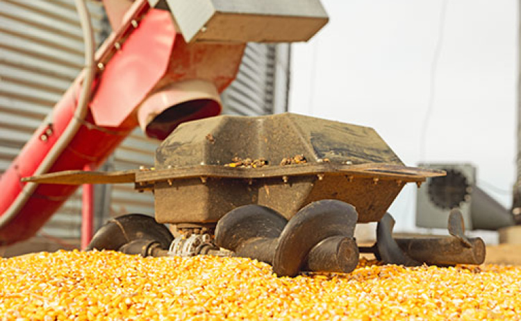 Invented in Aurora, the Grain Weevil is about to make its Midwest debut through a system of 10 independent partner contractors who will provide the robot’s services on the farm and then sell the first consumer units to farmers when they hit the market next May.