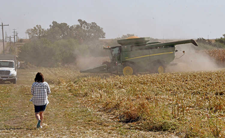 Sheila Miller carries lunch to her husband, Ray as he combines popcorn in a field south of Aurora last Wednesday. This past week’s dry conditions provided perfect conditions for continuing the 2024 harvest season at a fast pace.