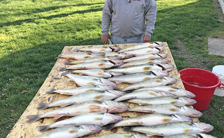Gene Joseph displays a day’s catch on one of his many fishing trips to Lake Erie. He has been taking friends to an island near Port Clinton, Ohio, for the past 15 years.