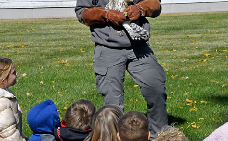 Edgerton educator Deb Miller shows students a Cooper’s hawk that has been rehabilitated after being found next to the Edgerton. The hawk was released back into the wild last Wednesday afternoon.