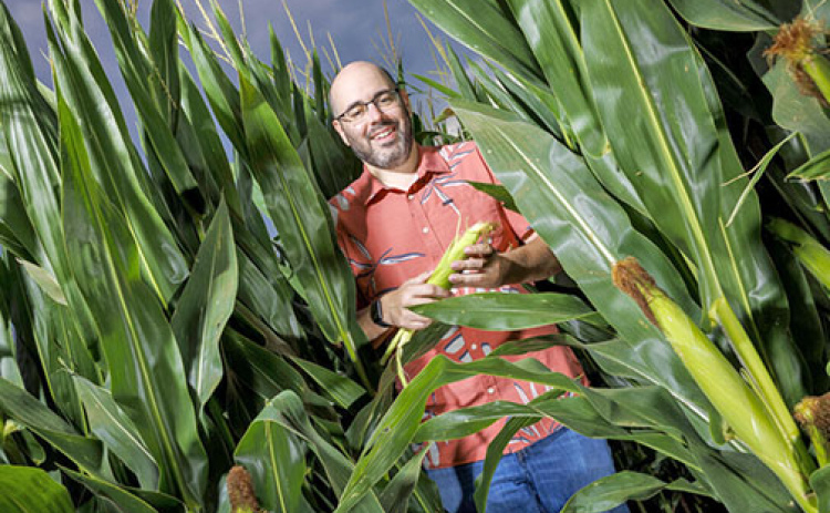 With a three-year, nearly $1 million grant from the National Science Foundation, the University of Nebraska-Lincoln’s James Schnable will help develop the first digital twin of a corn field, enabling researchers to quickly test countless what-if scenarios related to corn performance. (Craig Chandler/University Communication and Marketing)