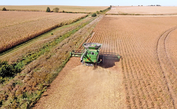 The UNL Center for Agricultural Profitability warns that farmers who have incorporated their businesses could face hefty fines and even imprisonment for failing to report their beneficial ownership information to the Financial Crimes Enforcement Network.