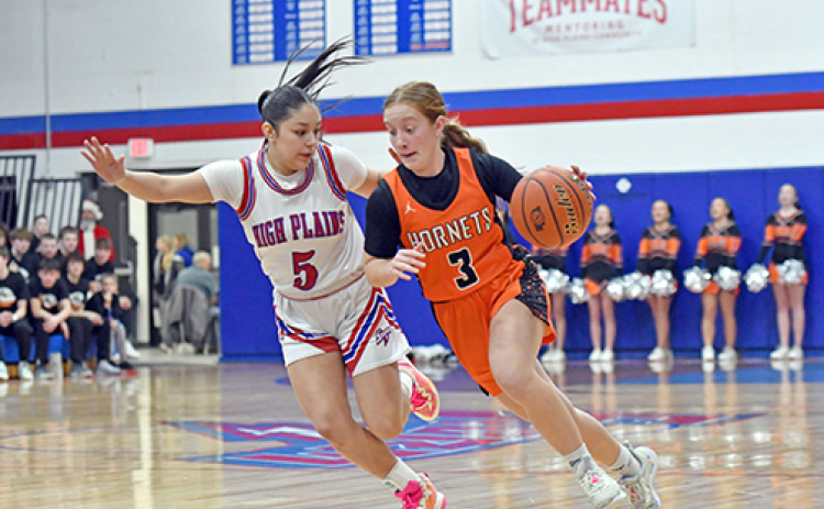 Giltner’s Avery Reeson smashes the ‘go’ button in an attempt to dribble past HPC’s Gahvi Lesiak during Friday’s area contest where the Storm came out on top, 55-29.