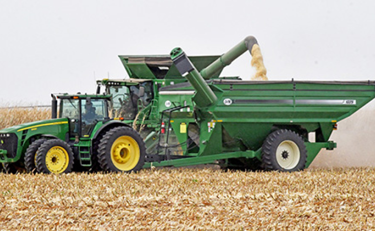 Nate Goertzen harvests white corn on his farm near Hampton in October. Earlier in the month he hosted a trade mission of corn buyers from Mexico.