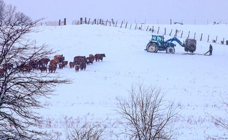 As the cash poor winter months are coming on UNL’s Center for Agricultural Profitability is urging producers to use caution when using operating loans and lines of credit.