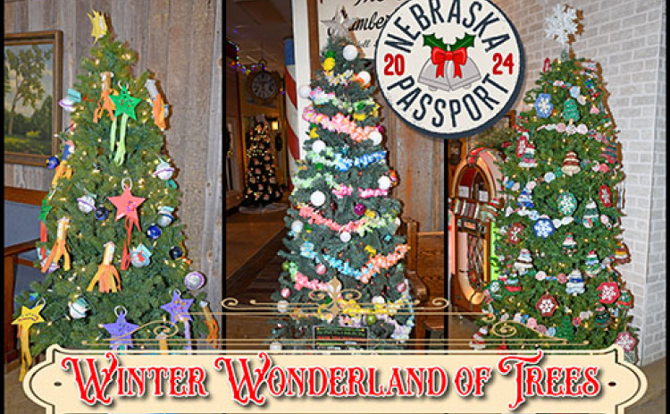 The Plainsman Museum's Winter Wonderland of Trees