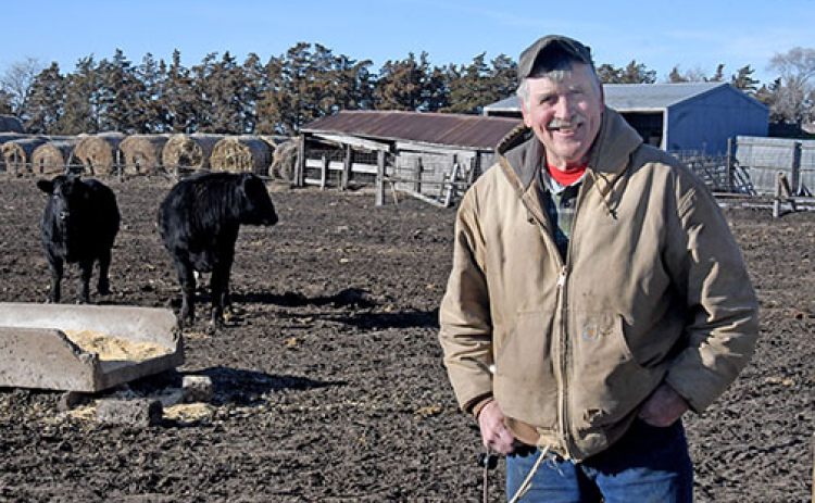 Hamilton County stock grower Fred Heuermann checks the cattle at his feed lot near Phillips. Heuermann will be presented with an award from the York-Hamilton County Cattlemen at their annual banquet on Jan. 28 at York.