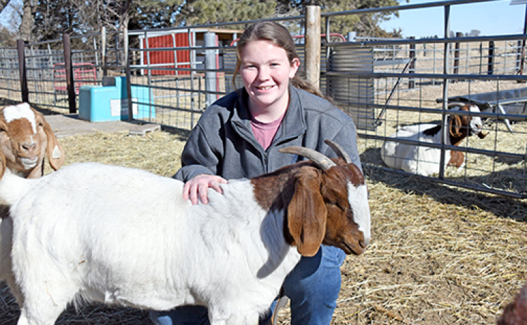 High Plains senior Allie Howell grew up around animals, showing all different kinds at the Polk County Fair growing up and has since enjoyed her time working with animals as part of the HPC FFA program. Howell serves as the chapter’s president for the 2024-25 school year.