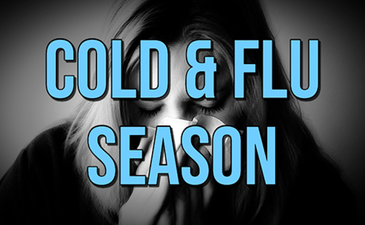Cold, flu bugs are hitting households, businesses and schools hard