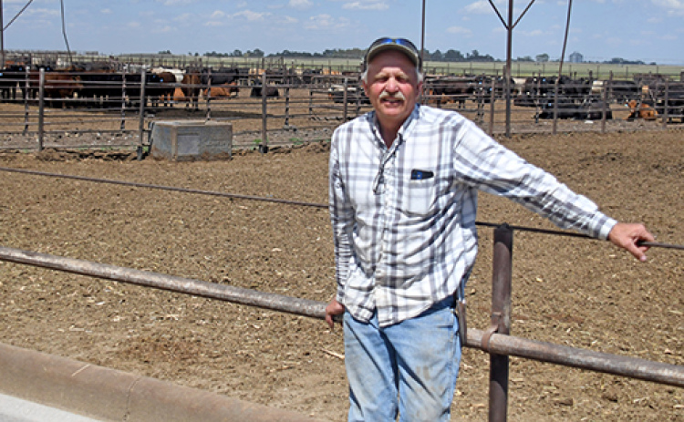 Francis McDonald stands in front of one of many cattle pens at the feed lot he and his brother, John, operate with the help of their sons near Phillips. Although they’re paying more for feeder calves these days because of the shortage caused by recent droughts in cow country, they’re also enjoying higher prices for their finished product due in part to the current popularity of beef.