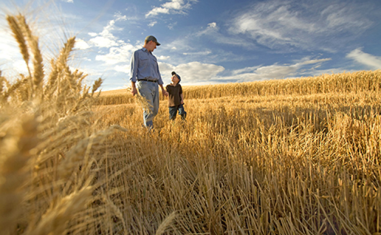 The financial needs of both generations involved in a farm succession plan should be considered in order to make a smooth transition.