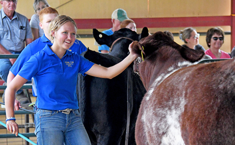 Macy Miller smiles at the judge as she shows her grand champion Hamilton County-raised market steer, Naveen, at last week’s county fair. Just moments earlier Miller’s younger brother, Noah, who was participating in the same event, had lost his shoe in the arena and the judge handed it back to him.