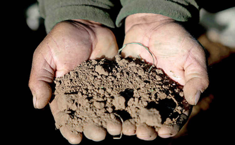 Could adopting soil health management systems lead to farmers experiencing more freedom and a rekindling of the traditional yeoman farmer? Julie Snorek says the Kansas and Nebraska farmers she surveyed expressed feeling that way.