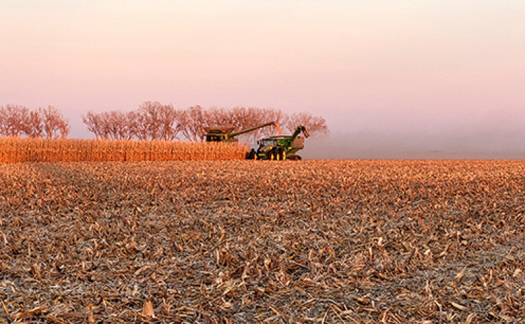 A farmer combines the last strip of corn in a field north of Aurora as the sun sets last Tuesday. The corn harvest appears to be nearly complete in Hamilton County.