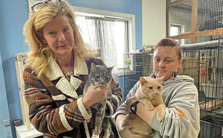 Aurora Adopt-A-Pet is starting a new program called Silver Whiskers which will pair senior cats with senior citizens who could otherwise not afford a pet. Pictured with two of the senior cats are Adopt-A-Pet President Shannon Goltz and volunteer Samantha Wize.