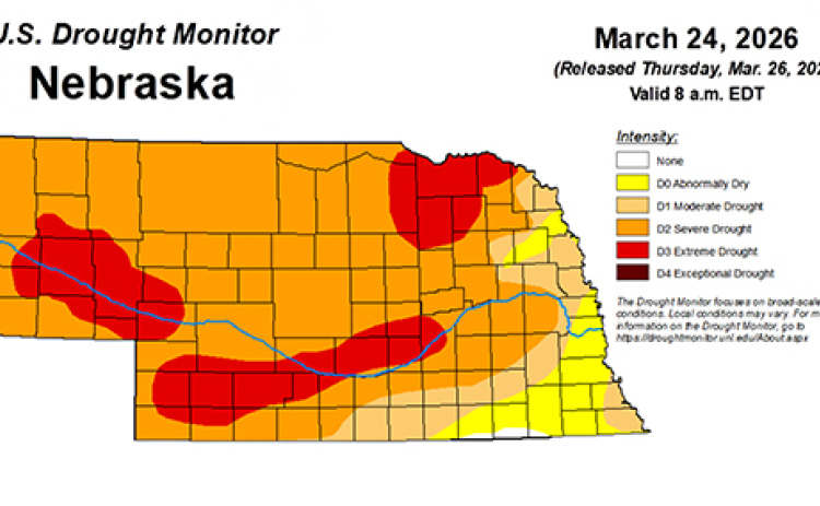 The latest Nebraska Drought Monitor Map shows 99 percent of the state to be abnormally dry, with most of Hamilton County in Severe Drought (D2) and a portion along the Platte River on the northwest side of the county is in D3, Exceptional Drought.
