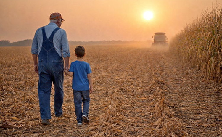 How farmland is titled can significantly affect whether heirs receive a full, partial, or no stepped-up basis. Understanding these ownership structures can help Nebraska farm and ranch families make more informed transition and estate planning decisions.