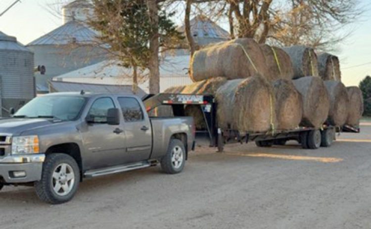 Cale Carson has his trailer loaded with hay bales ready to be taken to Farnham area on March 25 to help feed cattle left hungry by the Cottonwood Fire which burned up thousands of acres of prairie grass earlier in the month.