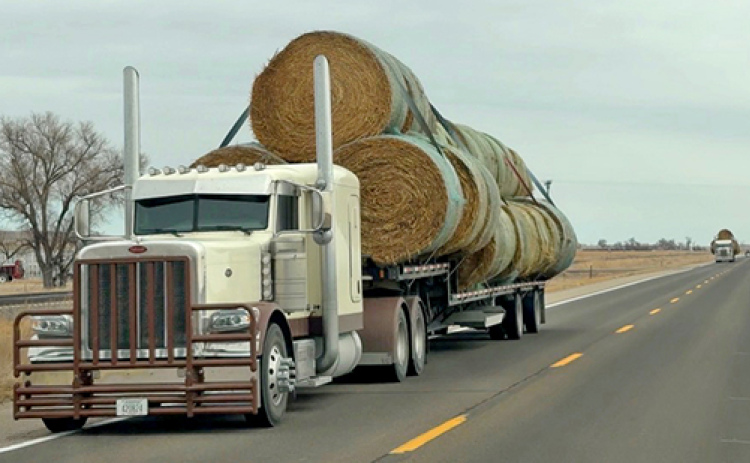 Trucks from all over are bringing hay to ranchers in western Nebraska where last month's wildfires destroyed thousands of acres of grazing