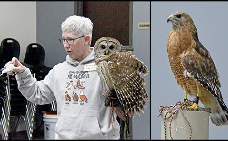 Edgerton Raptor Specialist Deb Miller introduced the program's two newest raptors to students last week. The owl has been given the name, Strix and the red-shouldered hawk was named Valor.